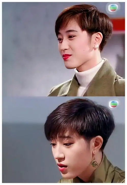 香港90年代诞生很多短发女神,袁洁莹陈法蓉周海媚,个个都帅美!