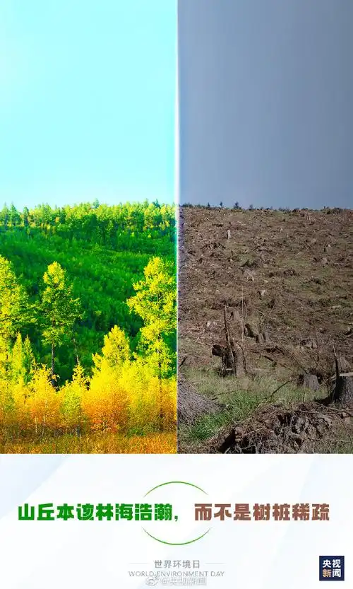 地球家园的对比图##今天世界环境日