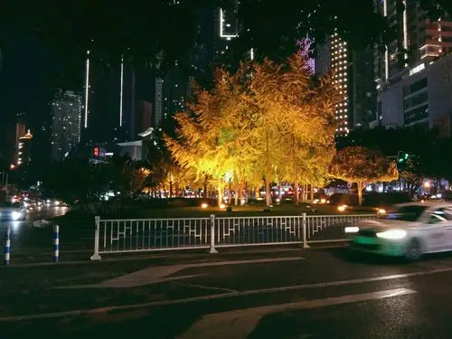 在夜深人静的时候想起一个人.