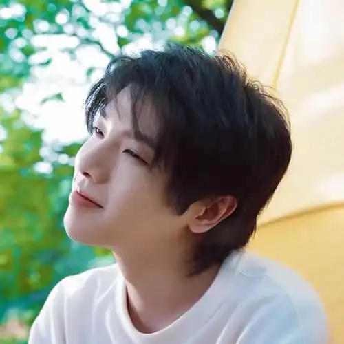 华晨宇仙气头像