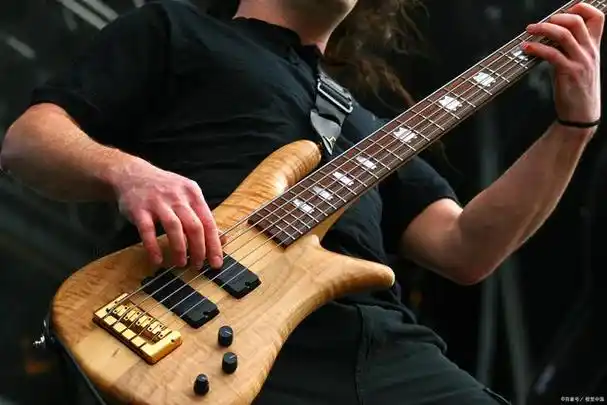 从零起步,掌握贝斯指弹技巧的秘密