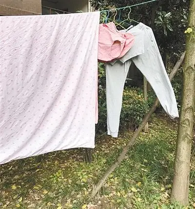 前几天,婆婆在楼下晾晒的内衣裤