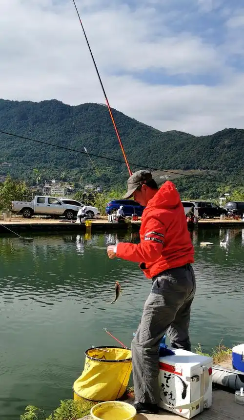 【渔翁观渔65】2020年泉州市手竿钓鱼高手赛举行 - 美篇