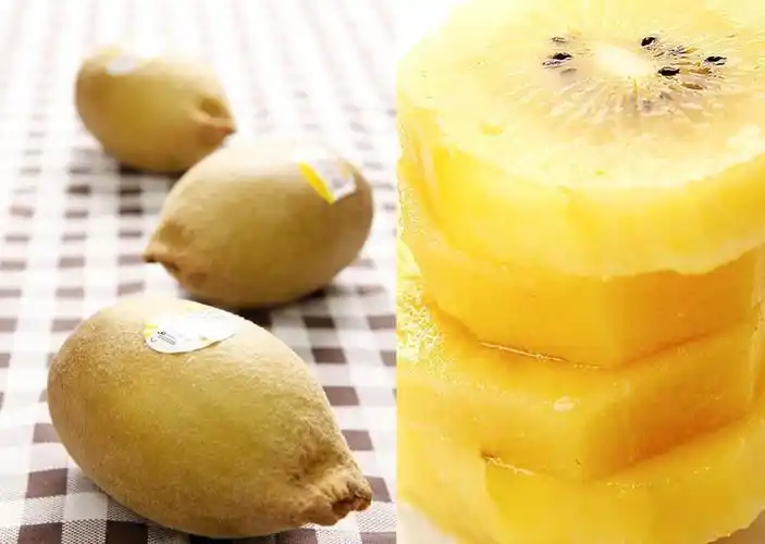 蜜糖浸黄皮果的功效与作用_黄皮果的功效与作用及食用方法_黄皮果泡醋