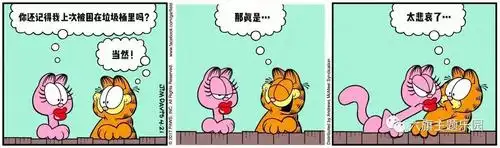 七夕比撩妹,你还不如加菲猫!