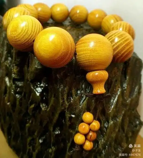 《柘木初识》——南檀北柘的传说