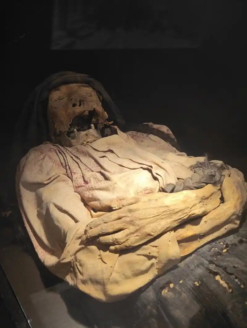 墨西哥木乃伊博物馆 墨西哥瓜纳华托有个木乃伊博物馆,里面全是当地人