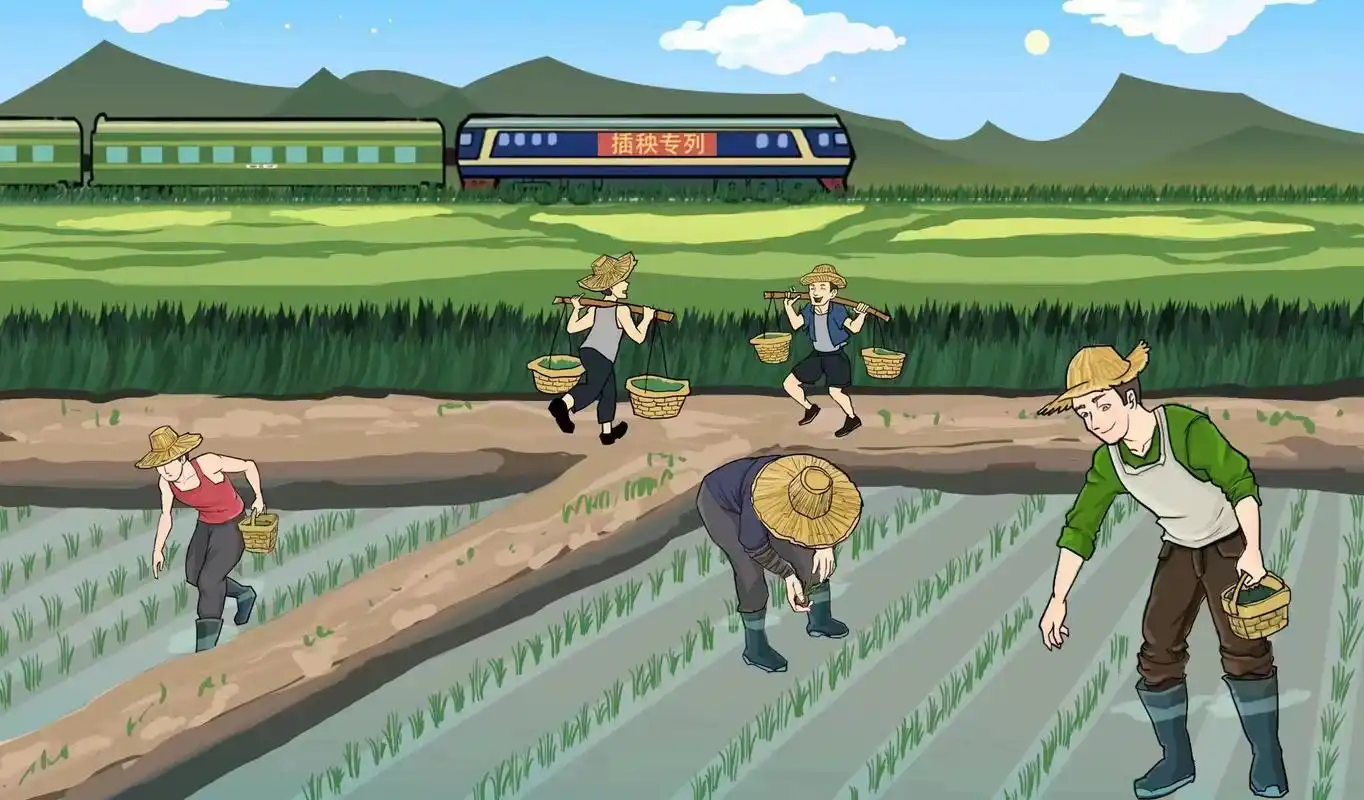 漫评|"插秧专列"为助推乡村振兴注入强劲动能
