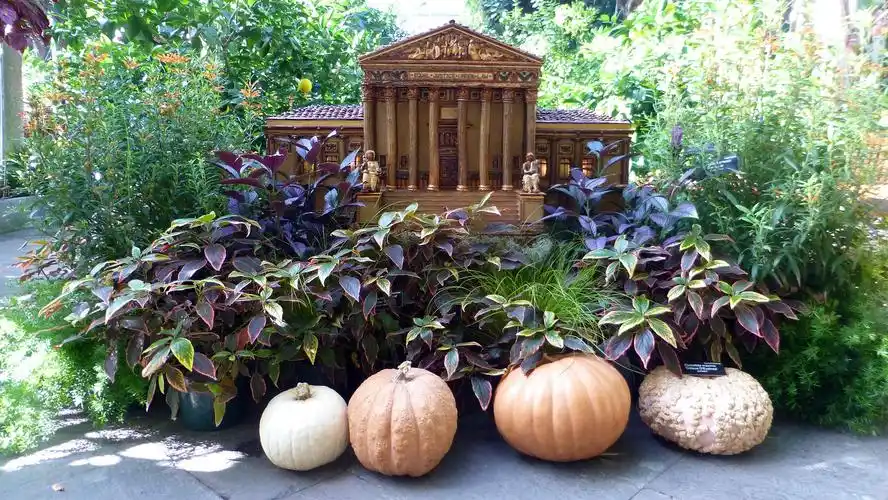 华盛顿美国国家植物园好玩吗,华盛顿美国国家植物园景点怎么样_点评