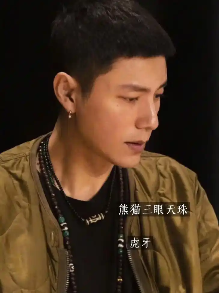 明星佩戴天珠第4集   陈坤.#天珠 - 抖音