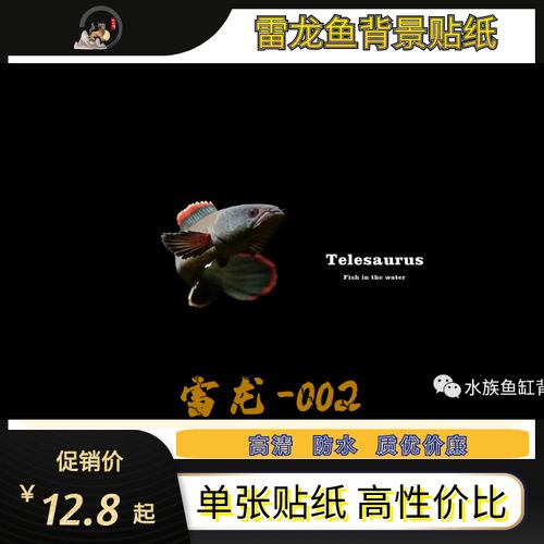 八方纳福高清雷龙鱼贴纸客厅卧室实木新款小型鱼缸new背景纸包邮