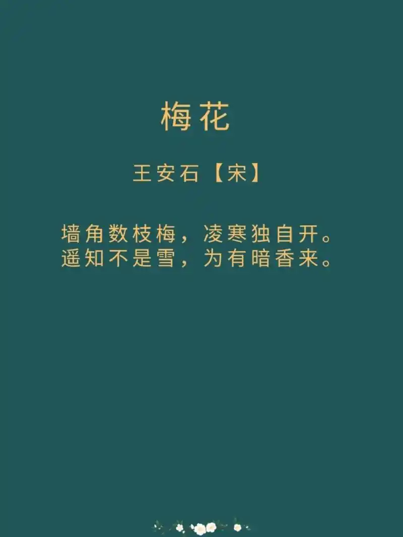 每日诗词|《梅花》王安石 译文: 墙角有几枝梅花,正冒着严寒独自盛开.