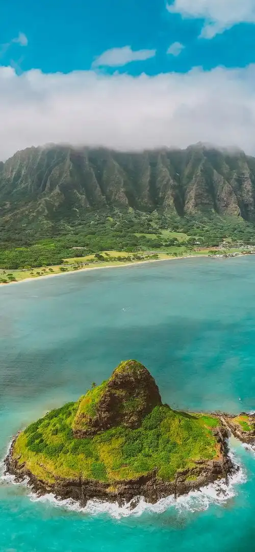 iphone13及14promax绿色海湾系列手机壁纸