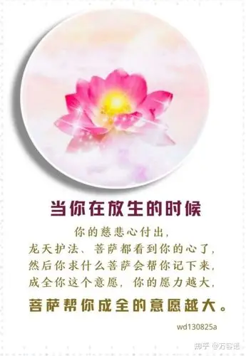 早安佛言佛语 - 知乎