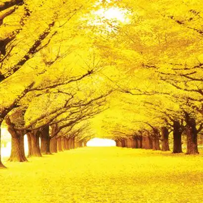 【新款十字绣】_5d十字绣图片_金满地新款十字绣价格_搭配分享 - 爱