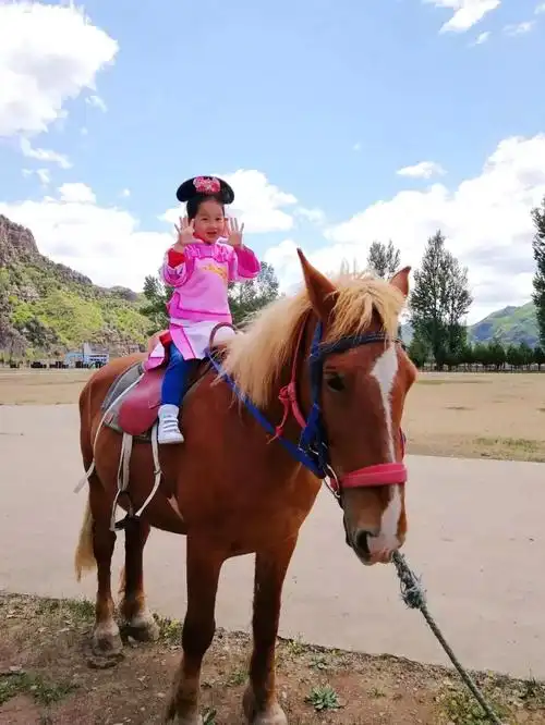 娜姐穿越变身满族格格一家老小避暑牧马人小院清凉一夏