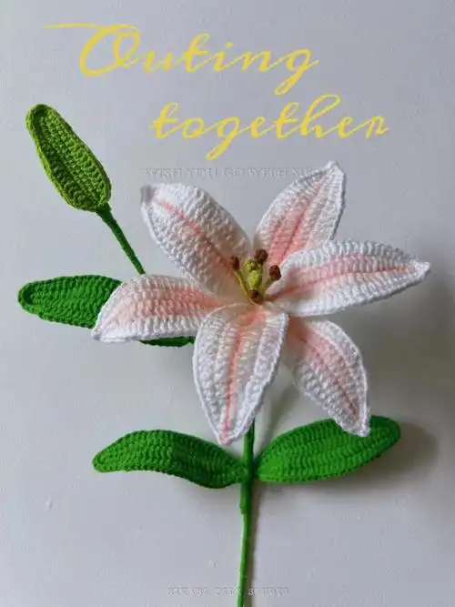 百合花附图解百合组装真的麻烦