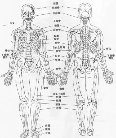 你还不知道的瑜伽知识初学者须知