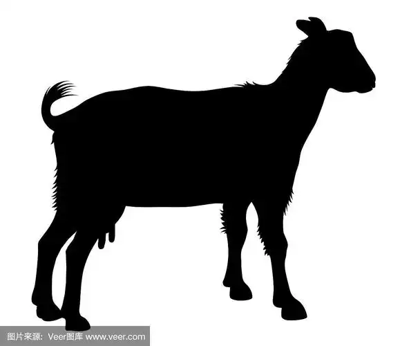 山羊剪影在白色的背景