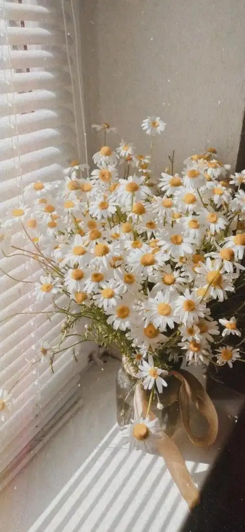 ins背景图 治愈系.,ins背景图治愈系(超治愈ins风壁纸)