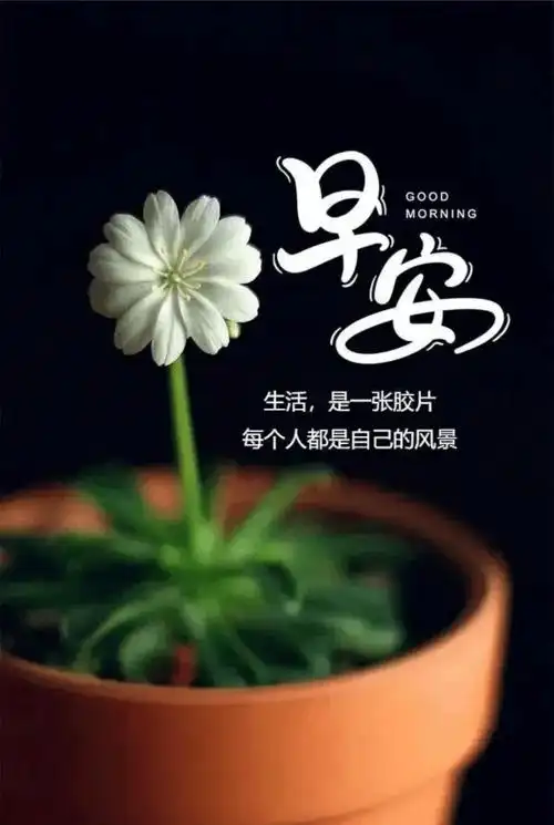 早上好,今天是2021年9月28日,星期二,农历八月廿二余生很长,拥抱美好