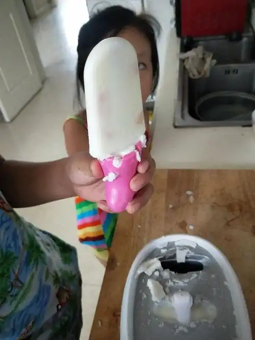 四篇)diy雪糕 写美篇雪糕,是我最喜欢的一种冷饮,妈妈准备教我做雪糕