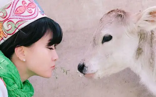 《文明密码》【陈晨】 20180528 边疆游牧传奇_哔哩哔哩 (゜-゜)つロ