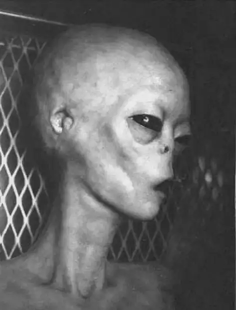 之所以没能发现外星人是我们忽视了一个重要因素外星人可能战死了