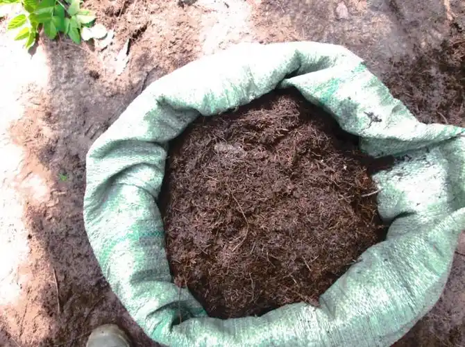 发财树专用松针腐殖土盆栽果树苗石榴金桔柠檬芦荟花卉土草莓苗土 10
