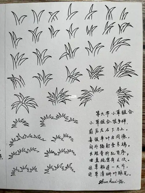 速写|p110|线描80讲 小草组合_速写_钢笔_线描_绘画_跟痴心一起钢笔
