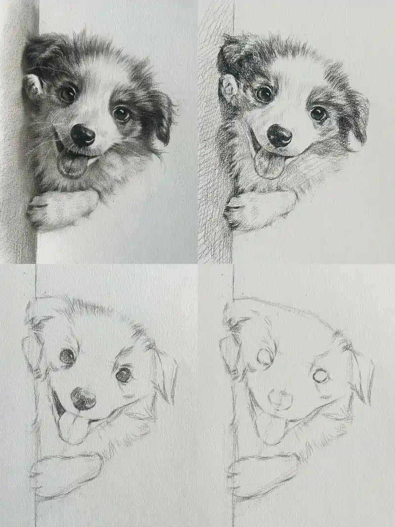 素描动物 超可爱狗狗(步骤解析图)1 先画一个梯形,两边是