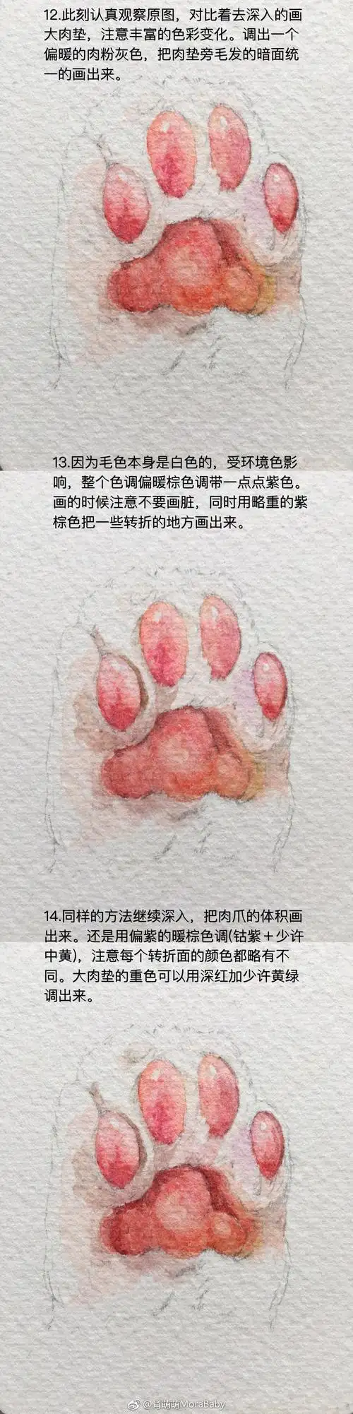 超萌猫爪教程学会了自己画爪爪撸猫肖萌萌morababy