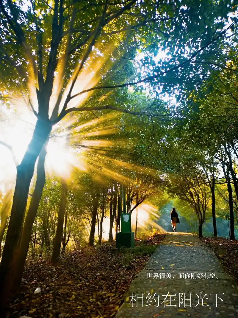 冬天,其实挺好的,添一件衣服,就能感到温暖,见一缕阳光,就能 - 抖音