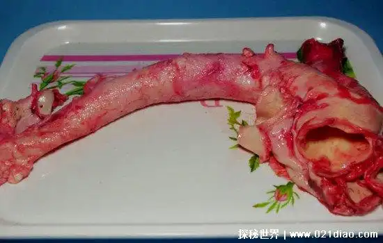 黄喉就是牛的大血管,也就是常见的主动脉等部位.