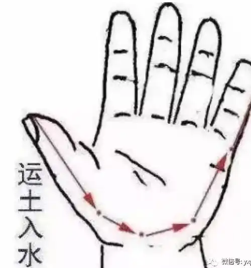(2) 运水入土:常见于脾胃虚弱而完谷不化,腹泻,痢疾,疳积,便秘等症.