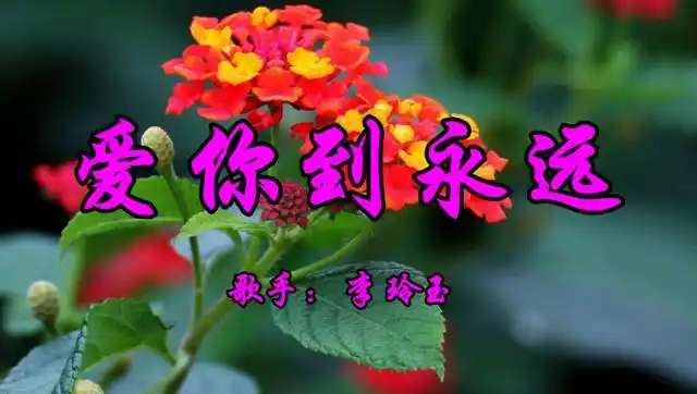 怀旧老歌,李玲玉一首《爱你到永远》好听至极