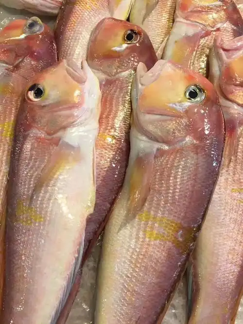 新鲜深海斧头鱼马头鱼海产鱼类东海野生海鲜水产现捕现发宝宝辅食