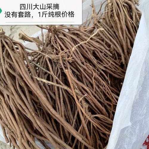 四川新鲜威灵仙 百条根 一把米老虎须铁扫帚整颗纯根1斤帮人采药