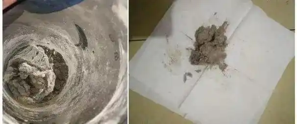 一只尘螨一天可能排泄6个粪便,1万只尘螨3个月汇集起来的排泄物,可想