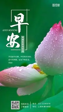 雨天早安荷花白色简约风摄影图海报