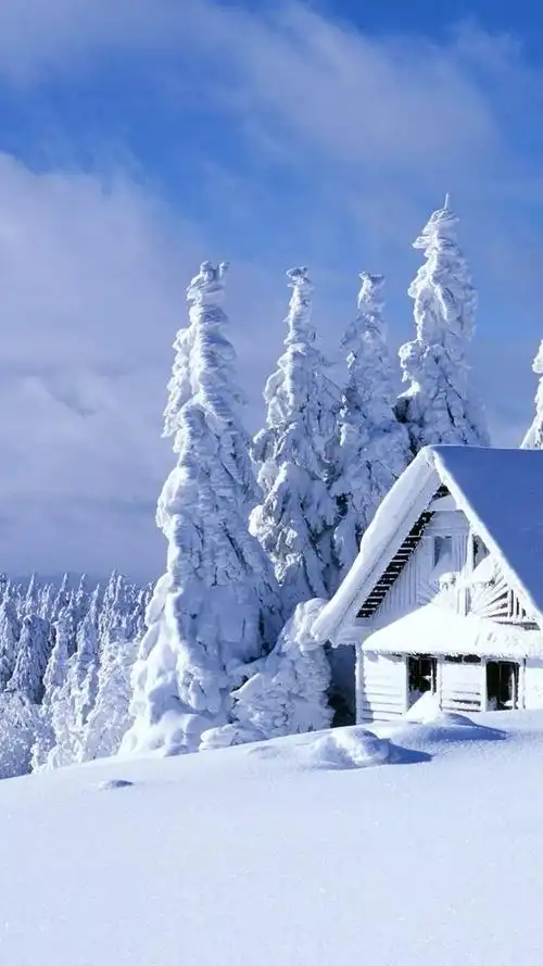 冰雪世界,纯净天地冬的礼物,梦幻之境