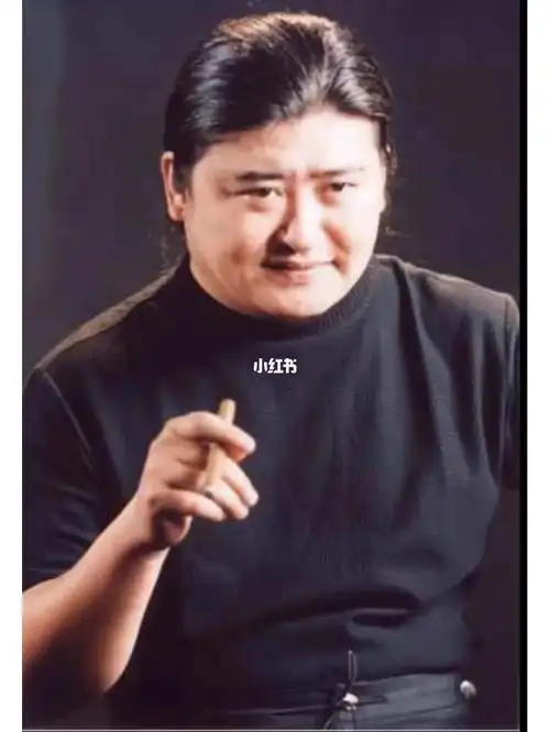 救大命 怀个孕和刘欢大哥成双生了