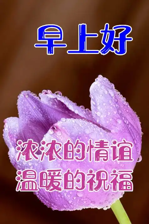 最漂亮早上好动态表情图片及动图美图大全有一种陪伴不在身边却在心间