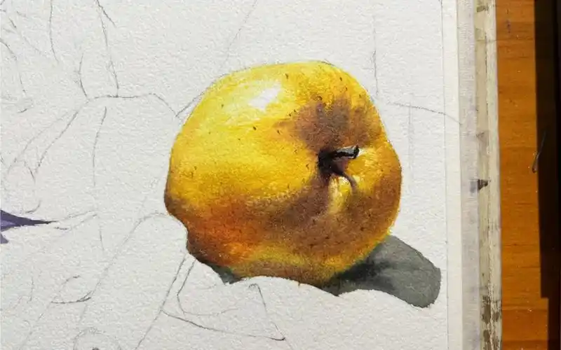 继续用水彩画黄苹果#色彩静物 #美术生 #美术色彩基础教学 #水彩