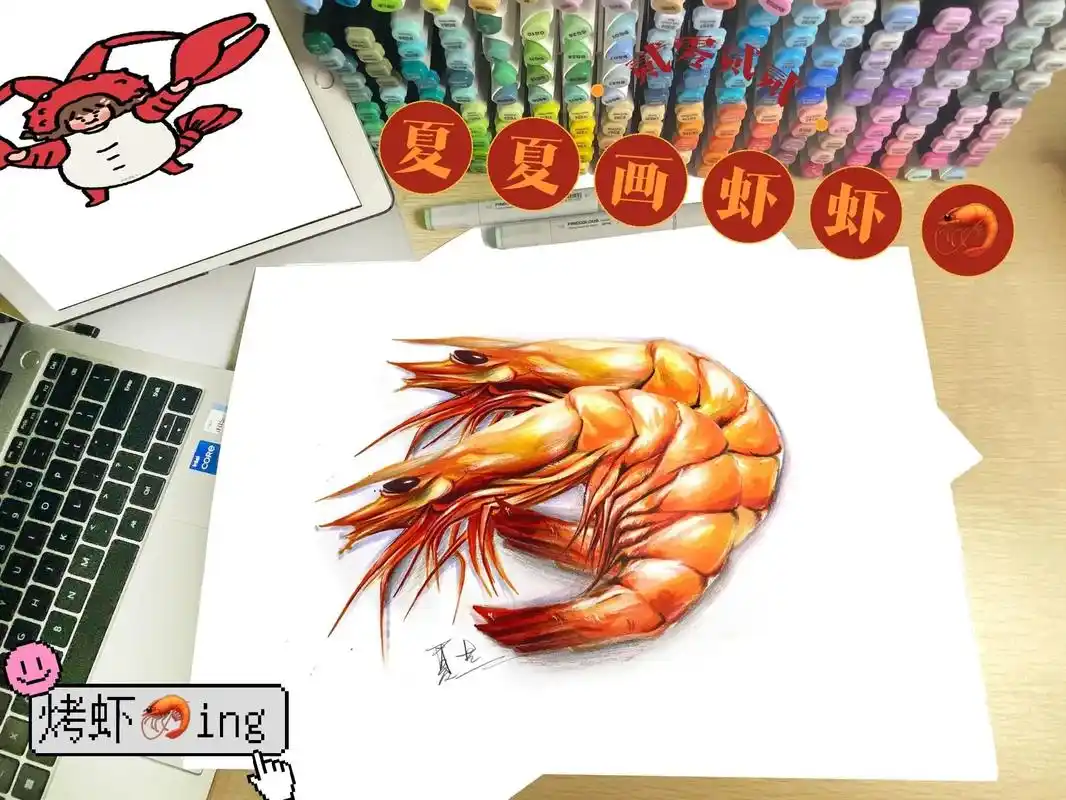今天夏夏画虾虾