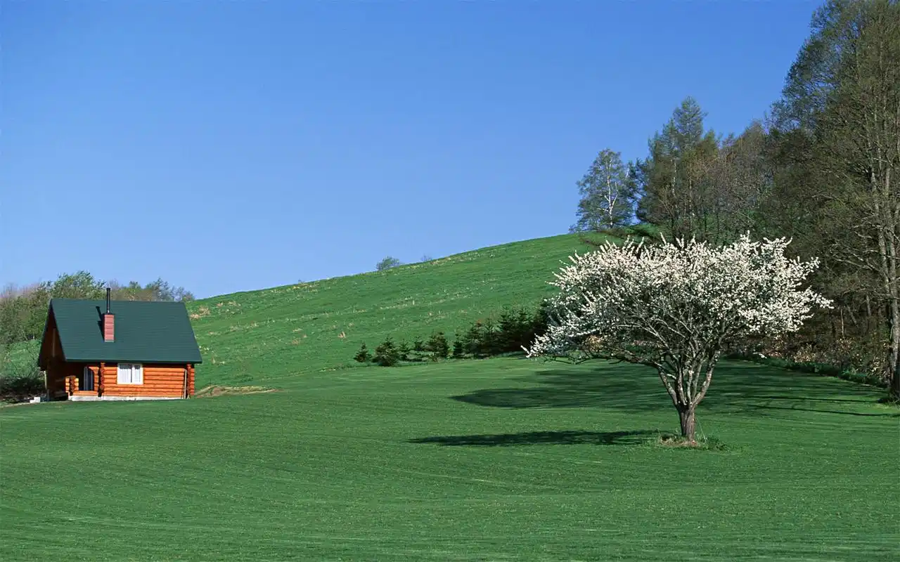 爽绿色护眼桌面壁纸(二)高清大图预览1920x1200_风景壁纸下载_美桌网