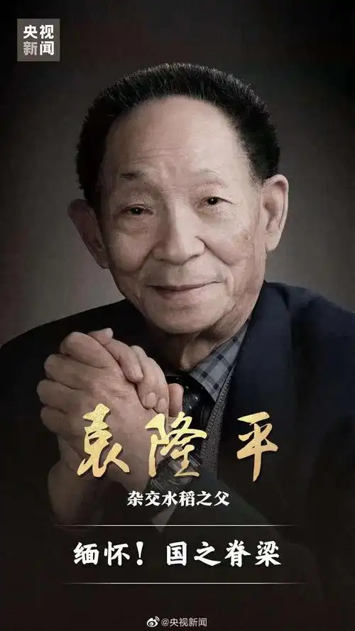 双星陨落|袁隆平_新浪新闻