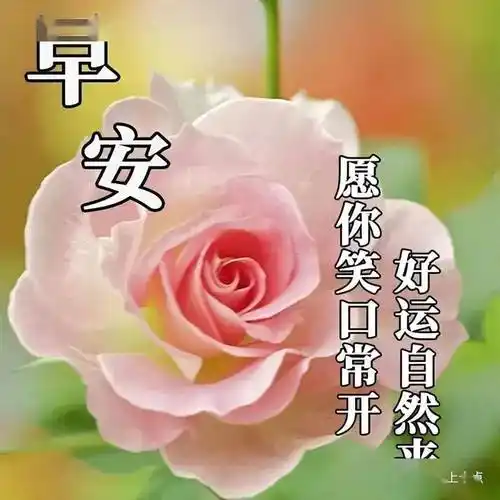 微信最新早上好图片大全,暖暖问候,满满祝福,天天愉快,时时幸福!