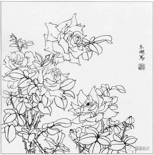 分享二组花鸟白描精美