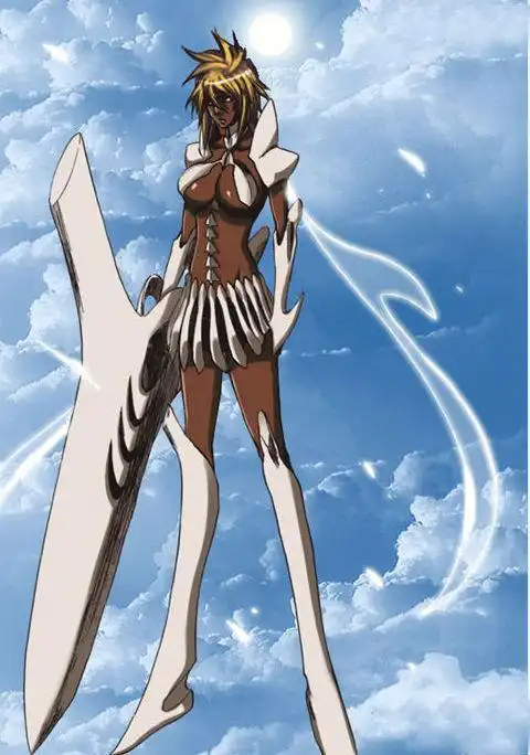 求死神十刃正脸的大图 记住 要是正脸的 要大